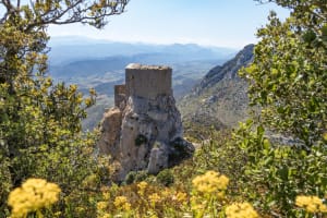 Virée à Maury et excursion exquise au château de Quéribus - Maury - 2