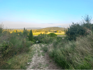 Ambiance médiévale et campagnarde de Sauzet à La Laupie - Sauzet - 2