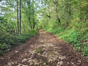 Randonnée à Bligny-le-Sec et vallée de Turcey - Bligny-le-Sec - 2