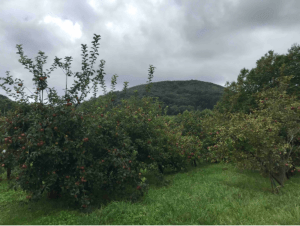 Kruis van Sainte-Barbe en prachtig uitzicht op de Baskische kust - Ibarrun, Saint-Pée-sur-Nivelle - 2