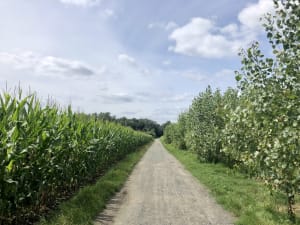 Gravel, sous-bois et un peu de pavés au départ de Lille - Le Petit Maroc, Lille - 2