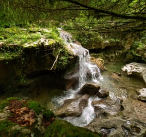Randonnée des Gorges de Thurignin - Artemare - 2
