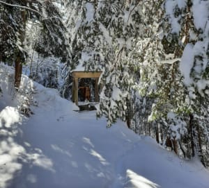 Natuurpad en Belle au Bois-waterval in Megève - Megève - 2