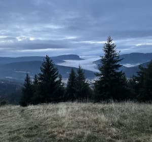 Balade facile à Villard-de-Lans depuis la Conversaria - Villard de Lans - 3