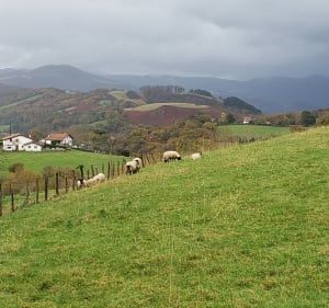 Petite marche a Amotz - Saint-Pée-sur-Nivelle - 2