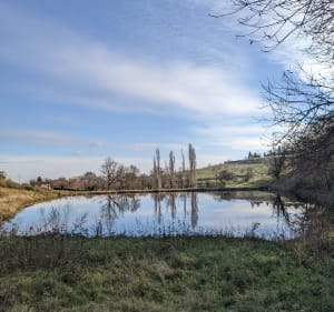 Petite balade vers Pollionnay - Vaugneray - 2