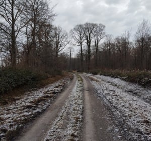 Sains-du-Nord, Sainte-Hiltrude in Avesnois en Val-Joly met de mountainbike - Sains-du-Nord - 2