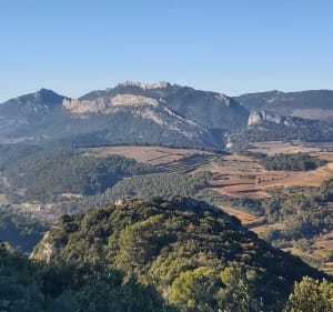 Balade sur la Roque-Alric - La Roque-Alric - 2