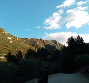 Balade digestive au parc des Bruyères au départ de Saint-Tronc - Alain - 4