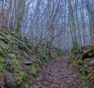 Col de Malval par St Bonnet le froid à Vaugneray - JC Eroht - 4