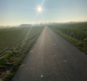 Bois d’Angerville à Saint-Maclou-La-Brière - Saint-Maclou-la-Brière - 2
