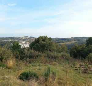 De Super Antibes à la Brague - Francis - 3