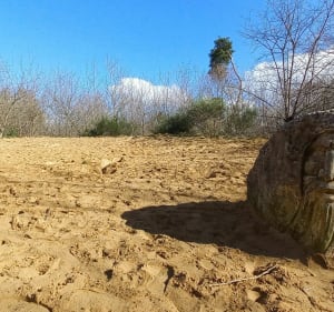 Les Dunes des Charmes à Sermoyer - Sermoyer - 2