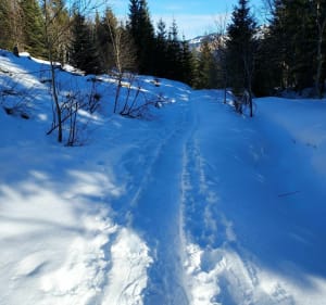 Sneeuwschoenwandelen van Les Esserts naar het Agy-plateau - JOSSELYNE - 3
