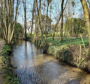 Entre le fleuve Loire et le ruisseau du Lien - Tavers - 2