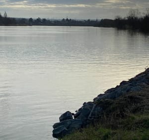 La Maxe, le long de la Moselle - Anne - 3