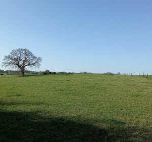 Plouër-sur-Rance, à la découverte des méandres de la Rance - Plouër-sur-Rance - 2