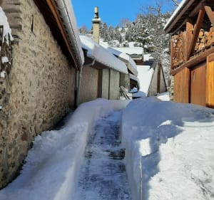Randonnée hivernale des Certs d'Auris au Plancet - Auris - 2