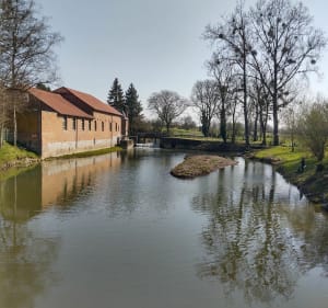 Balade gastronomique à la Ferme du Pont des loups - Sains-du-Nord - 2