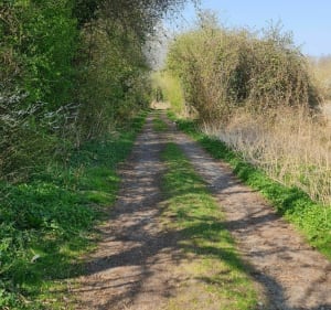 Sentier des chantiers - Beuvry - 4
