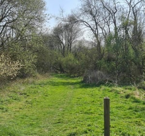Sentier des chantiers - Beuvry - 3