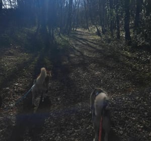 Randonnée sur le Mont de la Comté et ses environs - Decathlon - 3