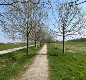 La boucle de Villeneuve Saint-Denis - Villeneuve-Saint-Denis - 2