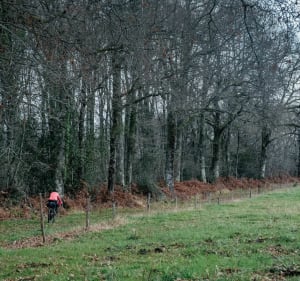 ENTRE BAYONNE ET PAU - J3 - LE BEARN - Salies-de-Béarn - 3