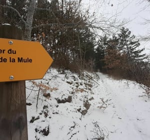 Le sentier du Saut de la Mule - Sainte-Hélène - 3