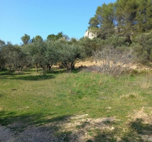 La colline de La Pécoule - Remi - 4