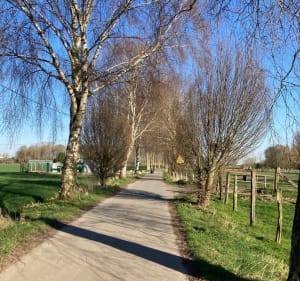 La Canteraine : entre pâturages et petits bois - Noyelles-lès-Seclin - 2