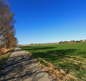 Sous le ciel azur de la Drôme Provençale. - Malataverne - 2