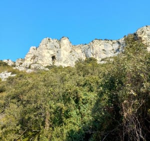 Le Vallon d'Auphant - Sénas - 2