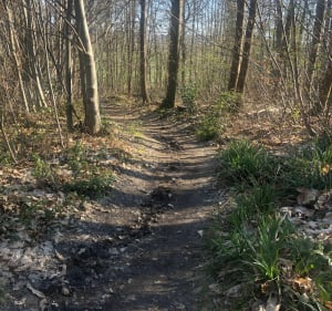 Balade en vallée de Chauvry - Villiers-Adam - 2