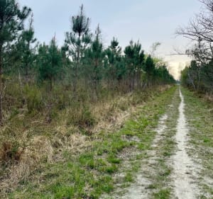 À la découverte du ruisseau des Sources et des Gleyses - Loïs - 3