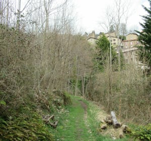 Schildpadrots van Bourg-Argental - Bourg-Argental - 2