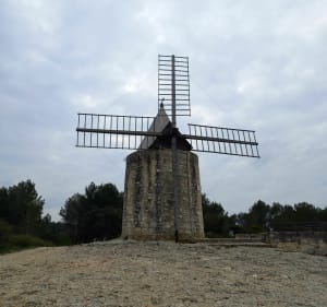 Forêt de Fontvieille - Remi - 3