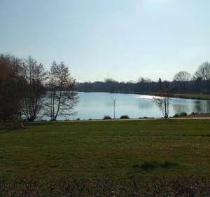 Balade en famille le long des plans d'eau : La prairie - Jonathan - 3