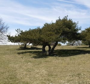 Tour Pas de saint Vincent- Pas du Touet - Peyrus - 2