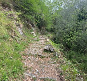 Village de Gorbio de Menton - Eric - 5