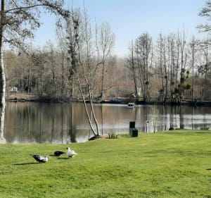 Les villages, St-Hilaire et Crancey par la noue - Saint-Hilaire-sous-Romilly - 2