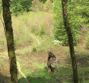 Trésors du bois d’ambre - Osselle-Routelle - 2