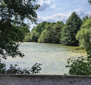 Autour du Héron depuis la Gare - Asq - 2