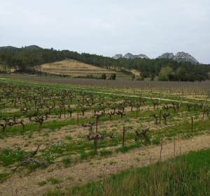 Le Gros Calan - Eygalières - 2