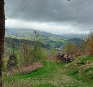 De Tannach au château du Hohnack - Orbey - 2