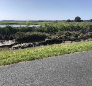 Coup de fouet iodé à vélo autour du Port des Salines - Dolus-d'Oléron - 2