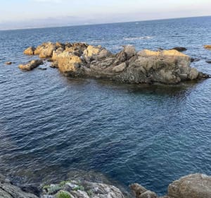 Vivier gallo-romain par le bord de mer - Roquebrune-sur-Argens - 4