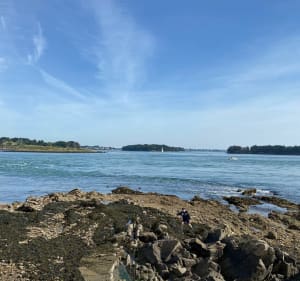 Tour de la pointe d’Arzon - Arzon - 2