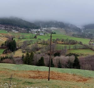 Le Bonhomme et le circuit des Jonquilles - Isabelle - 2