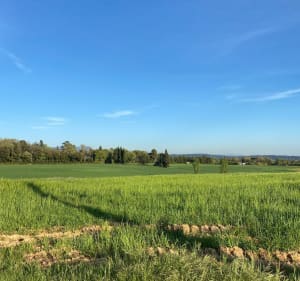 Balade à vélo dans la campagne entre Venelles et Puyricard - Chloé - 4